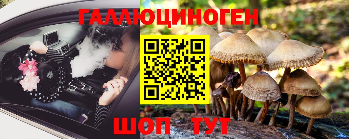 Галлюциногенные грибы прущие грибы Губаха