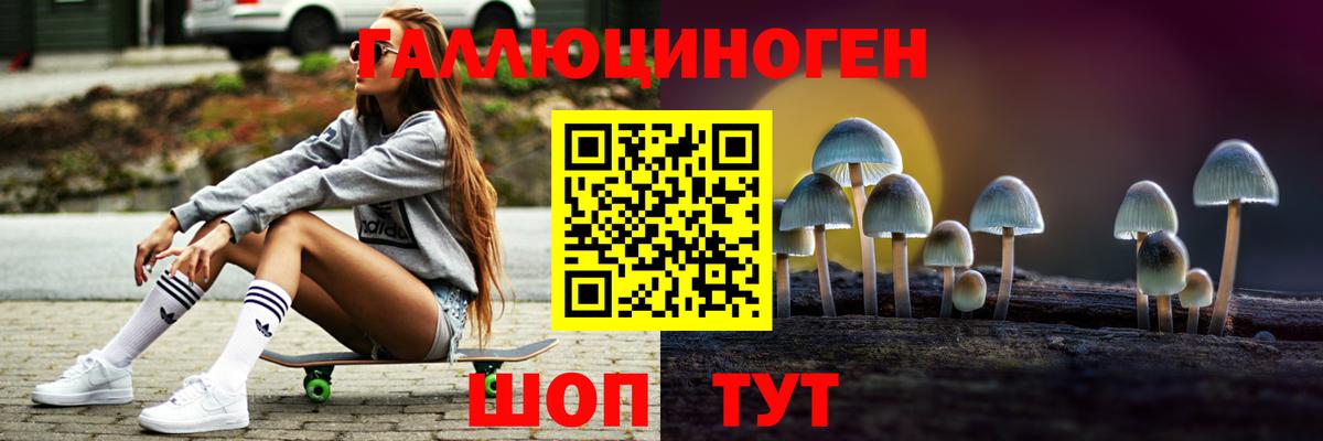 Псилоцибиновые грибы GOLDEN TEACHER  где продают наркотики  Губаха  Вход с VPN 
